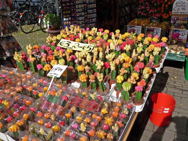 758_Amsterdam_flower_market
