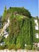 4084_Lake_Bled_office_vines