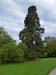 315_Stanway_House
