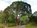 649_Bodnant_Garden