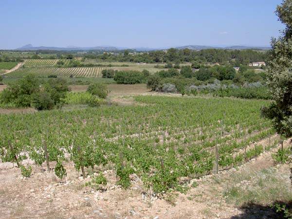 3004_Chateau_des_Hospitaliers_winery