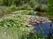 3009_Chateau_des_Hospitaliers_winery_pond