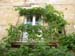 3040_Arles_vines_on_window