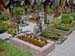 3195_Hallstatt_cemetary