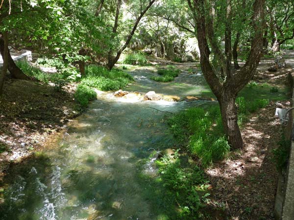 310_stream_at_trout_lunch_stop