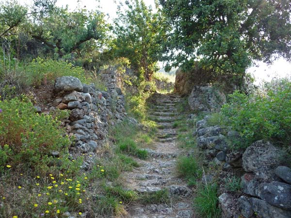 389_Kardamyli_hike