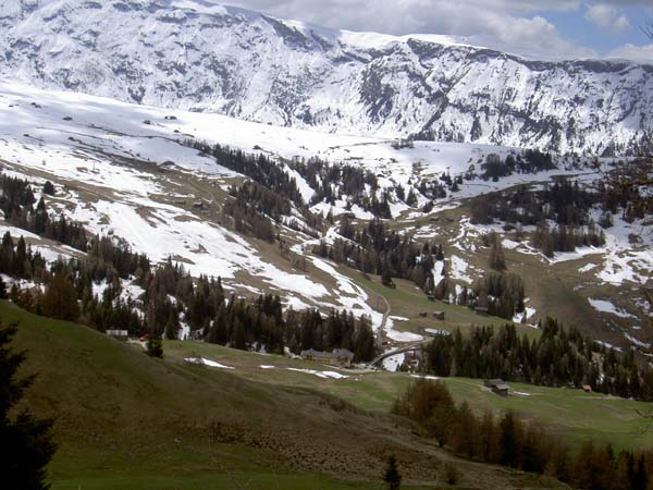 081_Alpi_di_Suisi