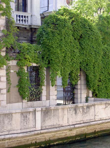 098_Venice hanging garden