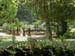 142_Florence_Boboli Gardens side pond