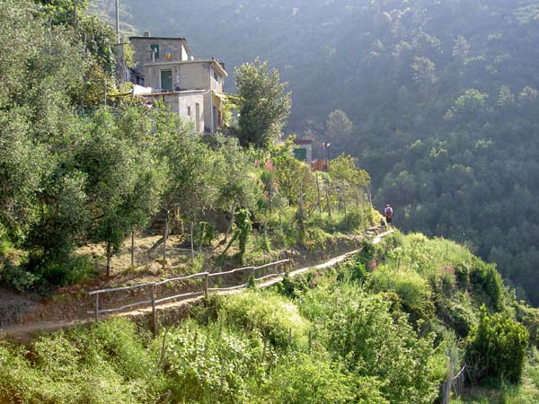 189_Montorosso_trail to Vernazza