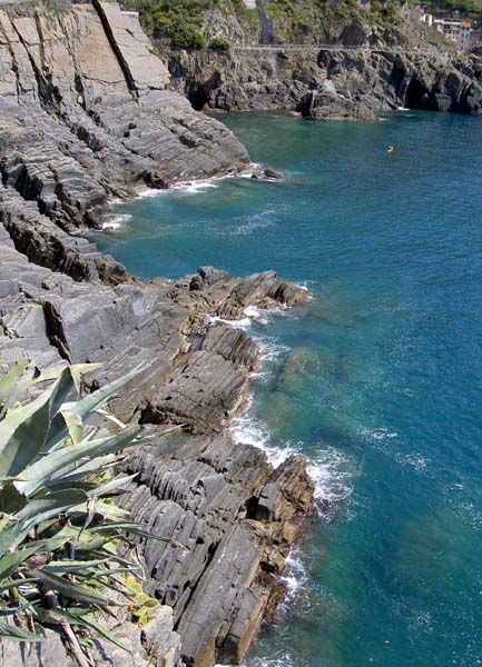 2026_Manarola_trail to Riomaggiore 2