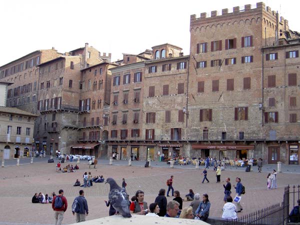 2079_Siena_Il Campo