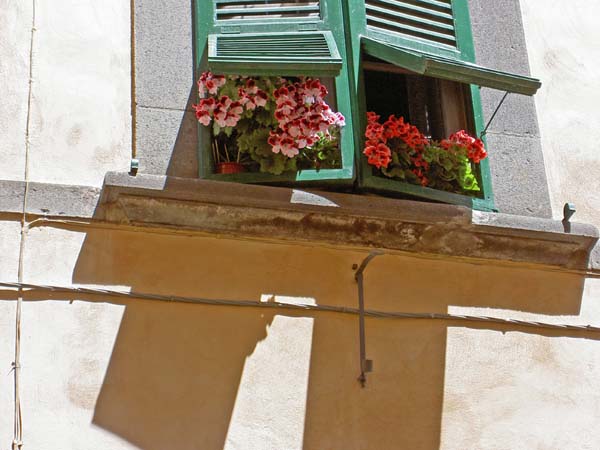 2155_Orvieto window