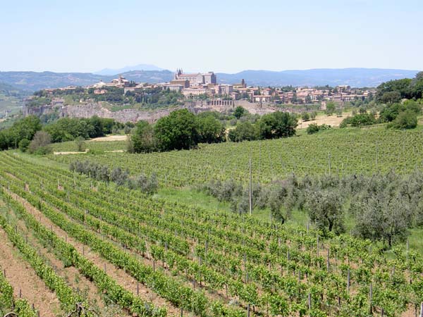 2161_Orvieto from Le Velette