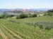 2161_Orvieto from Le Velette