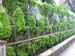 3138_Tivoli_fountain wall
