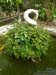 100i_Palermo_Botanical_Garden