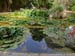 100v_Palermo_Botanical_Garden