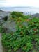 699_Mousehole