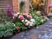 0554_Lucca_flowers